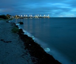 Templatemo Pic 1