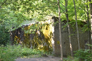 Pic 1